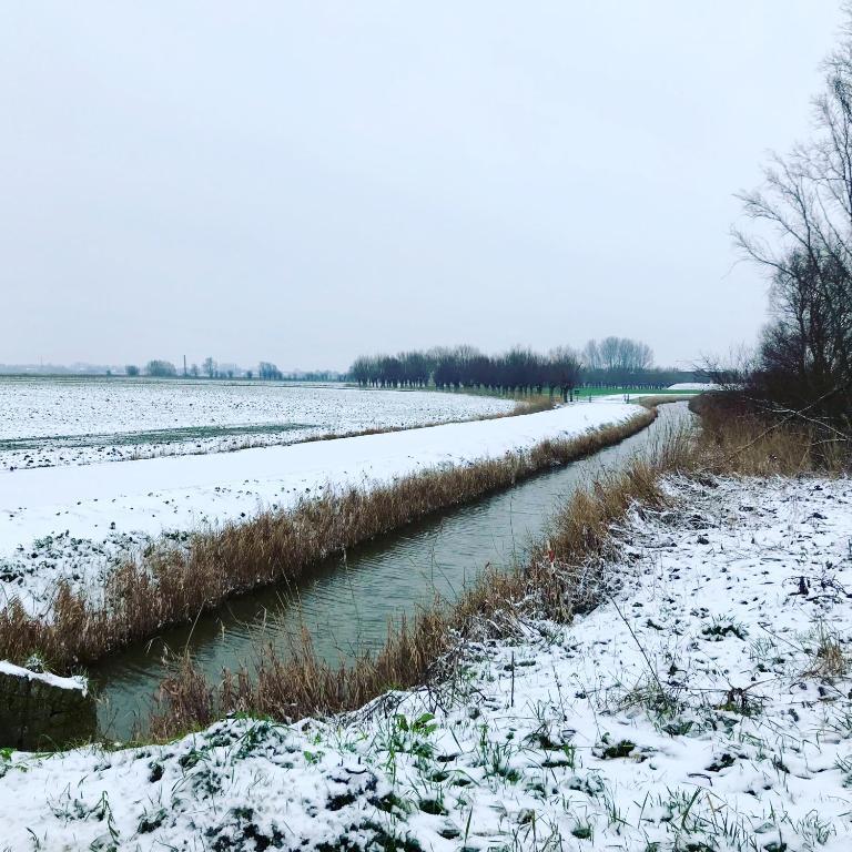 Вилла Ter Zwaanhoek Остенде Экстерьер фото
